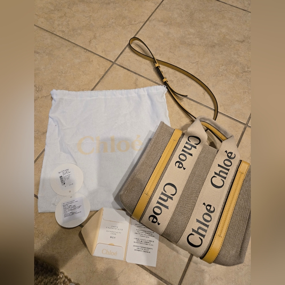 Chloé Purse